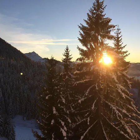 Tiroler Haus Petra *