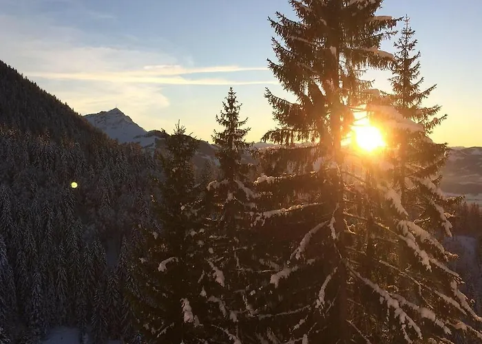 Tiroler Haus Petra *