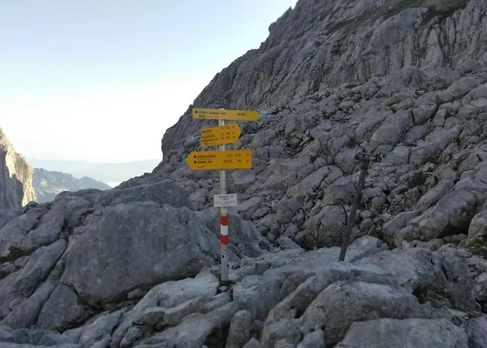 Tiroler Haus Petra Kirchdorf in Tirol